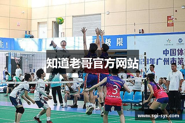 知道老哥官方网站